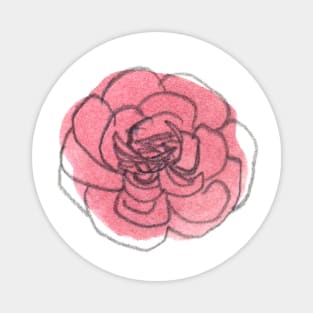 Pink Carnation Solo 3 Magnet